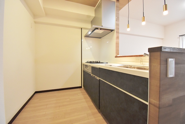 明るい、食器洗浄乾燥機内蔵のシステムキッチンへリニューアル。照明器具新設、建具新調、床・壁・天井全面貼替済です。